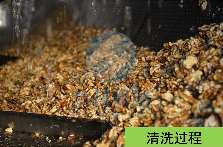 小型核桃仁去皮機