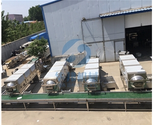 華邦機械核桃仁去皮機服務源頭