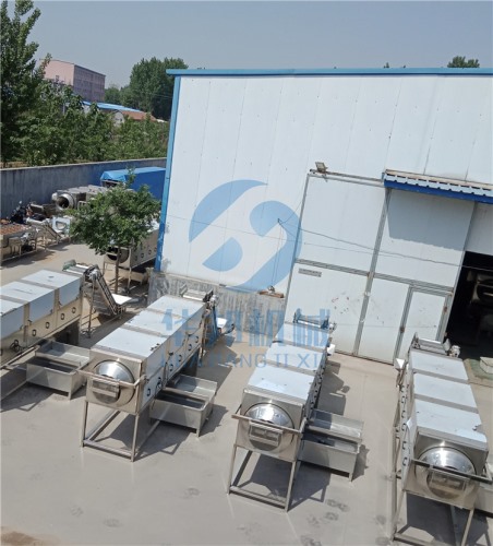 純物理核桃仁去皮加工機 去皮率98%