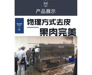 中型核桃仁去皮機