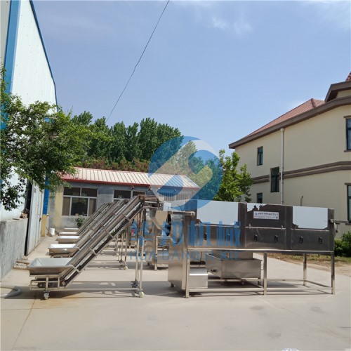 核桃仁去皮機 廠家直銷