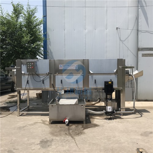 核桃仁去皮機 廠家直銷