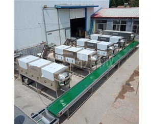 核桃仁去皮機(jī)去皮率98%