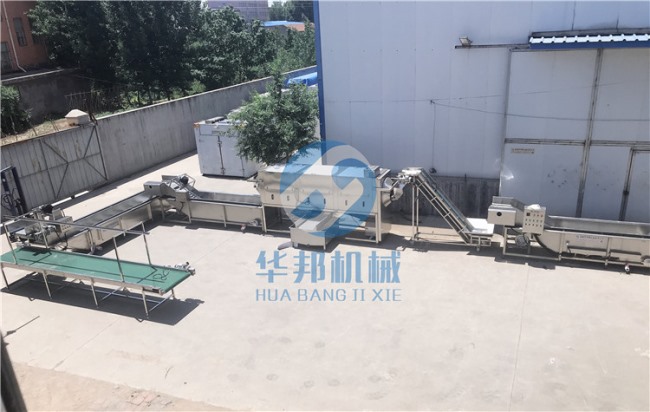 核桃仁去皮機優(yōu)勢 核桃仁深加工