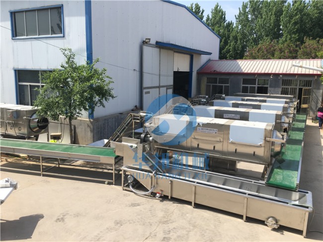 核桃仁去皮流水線 日產1-10噸 支持定制