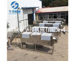 視頻提供核桃仁去皮機 不同地去區衣核桃仁