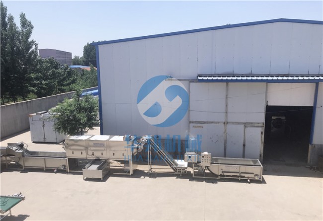 核桃仁加工設備流水線 華邦機械脫衣核桃設備