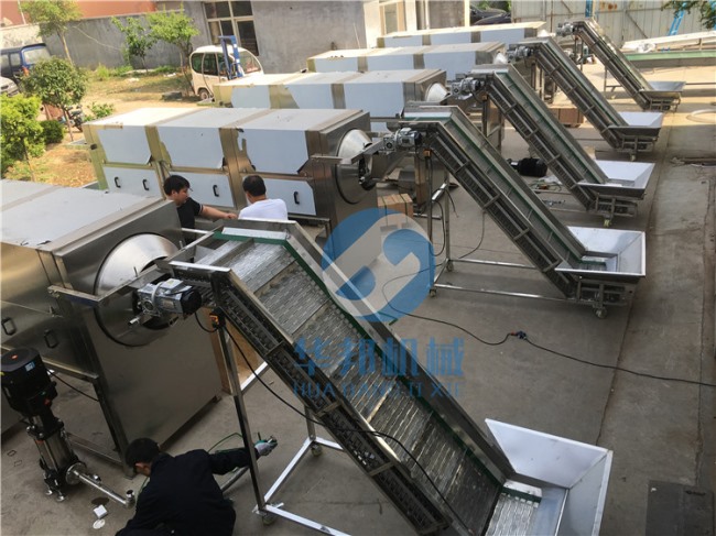 華邦核桃仁去皮設備 0添加核桃仁去皮機 去皮率高達98%