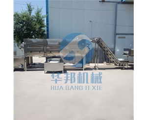 大型核桃仁去皮機  核桃仁去皮生產線 2年保修