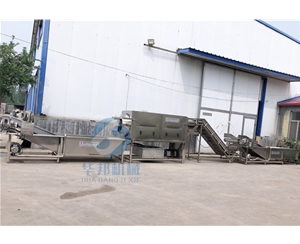 1人操作 核桃仁脫衣機 全自動去皮