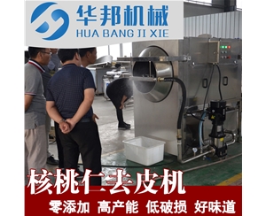 技術性核桃仁去皮機