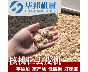 核桃仁去皮機(jī)  制作核桃粉需求設(shè)備 核桃仁脫皮機(jī)