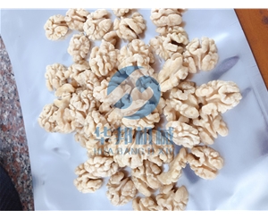 不加藥水 核桃仁去皮機