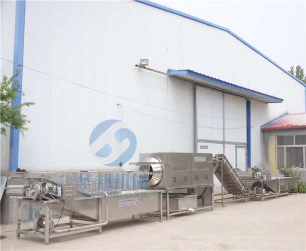 根據廠房定制 核桃仁脫皮機