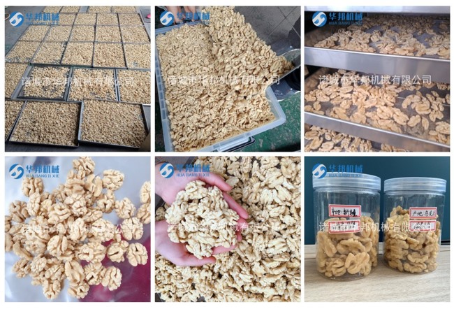 整仁率高 核桃仁脫皮機