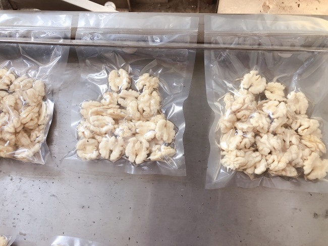 壓力可調清水核桃仁脫皮機 核桃仁去皮設備