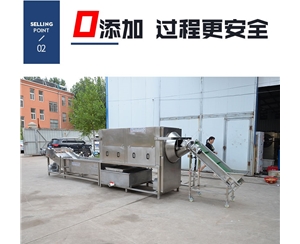 全自動 核桃仁去皮機