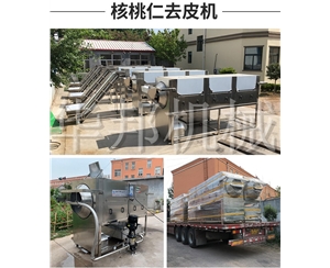 核桃仁去皮機 品種無限制