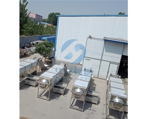 專車直達(dá)核桃仁去皮機(jī) 物理去衣設(shè)備