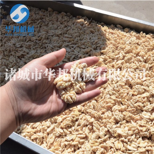 提供各種規格 核桃仁去皮機 現貨