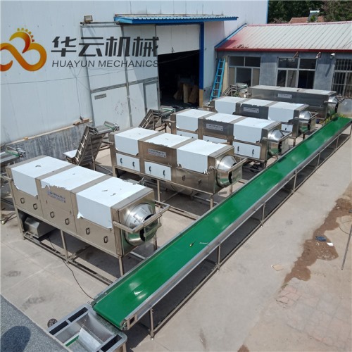 0化學核桃仁去皮機 2年質保