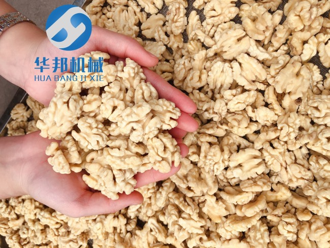 物理性質核桃仁去皮機