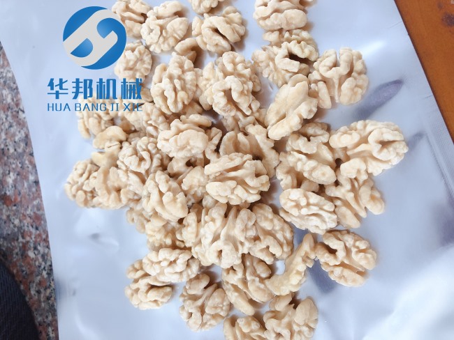 中型核桃仁脫衣機結構
