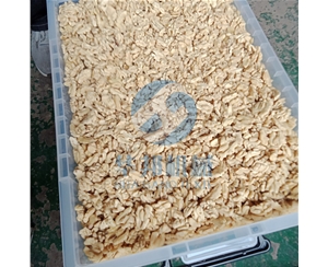 頭路核桃去皮機 2019加大尺寸