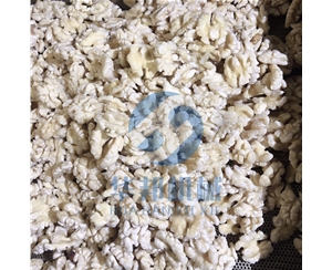 省人工 核桃仁去皮機(jī)