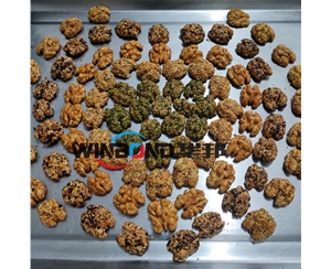 多地區核桃仁去皮機 任意品種 核桃仁去皮機