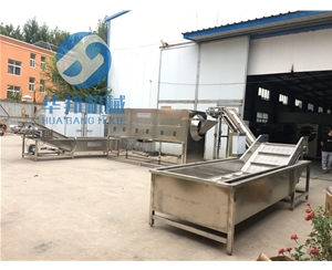 核桃仁去皮機 核桃仁去皮生產線