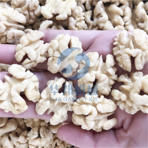 2020新型 核桃仁去皮機