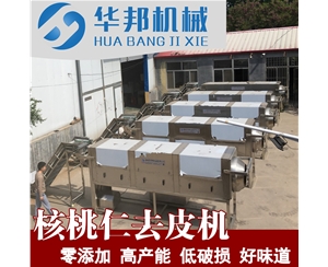 核桃仁去皮流水線 物理核桃仁去皮機 提供工藝技術(shù)