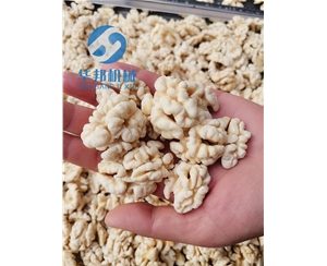 核桃仁去皮機 無添加清水去衣