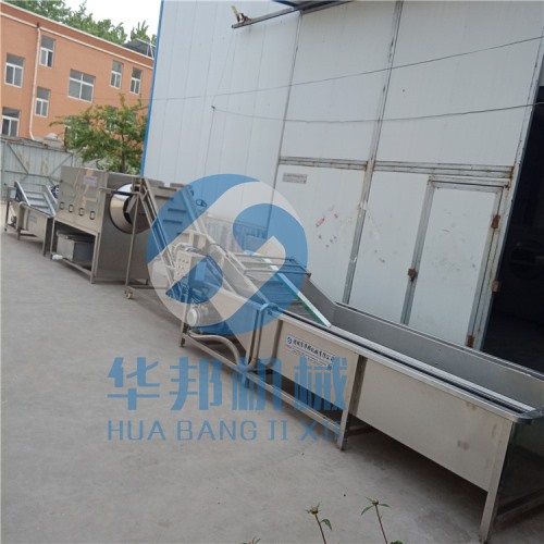 核桃仁脫衣生產線 核桃仁去皮機設備