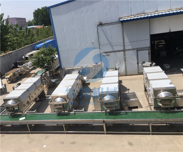 核桃仁去皮機 (核桃仁脫皮機)