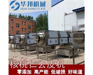 核桃仁去皮清洗機