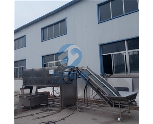 【華邦】核桃仁去皮機 核桃仁快速去皮 機器代替手工