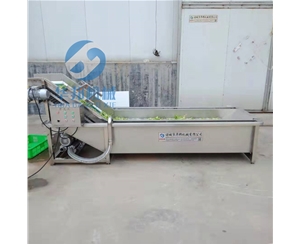 果蔬氣泡清洗機 凈菜加工設備 核桃仁清洗機