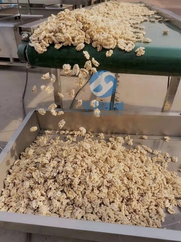 物理工藝 核桃仁去皮機