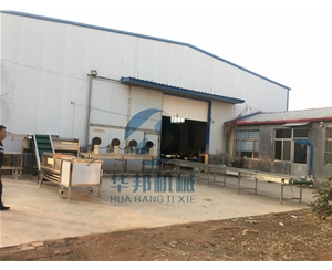 紅薯清洗機 廣西定制紅薯清洗流水線 供應現貨