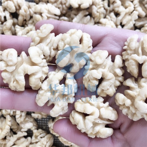 節水型 核桃仁去皮機