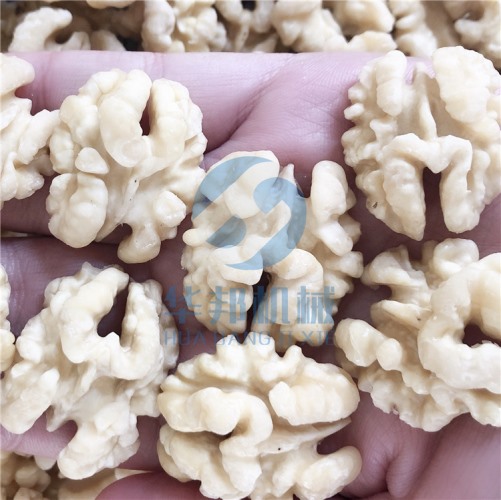 核桃仁去皮機 免費試機