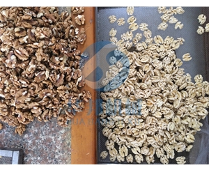 多規格核桃仁去皮機 純物理去皮機