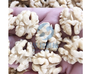 去皮核桃仁設備 0添加核桃仁去皮機