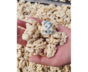 現貨 核桃仁去皮機 核桃仁脫衣機