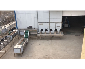 紅薯清洗機 洗紅薯機