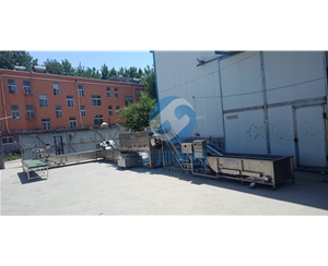 日產1-20噸核桃仁脫衣生產線 核桃仁去皮機 提供安裝