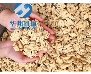 現貨試機 核桃仁烘干機