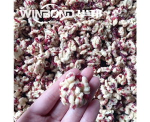 蔓越莓核桃仁加工設(shè)備 華邦核桃仁去皮 去皮機(jī)